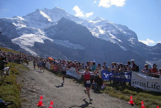 zieleinlauf4g.jpg